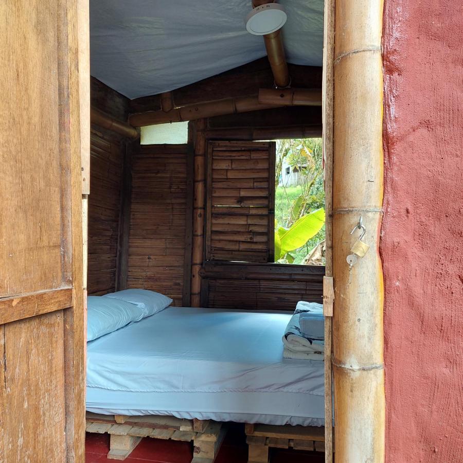 Hostal La Pijarana Salento Exteriör bild