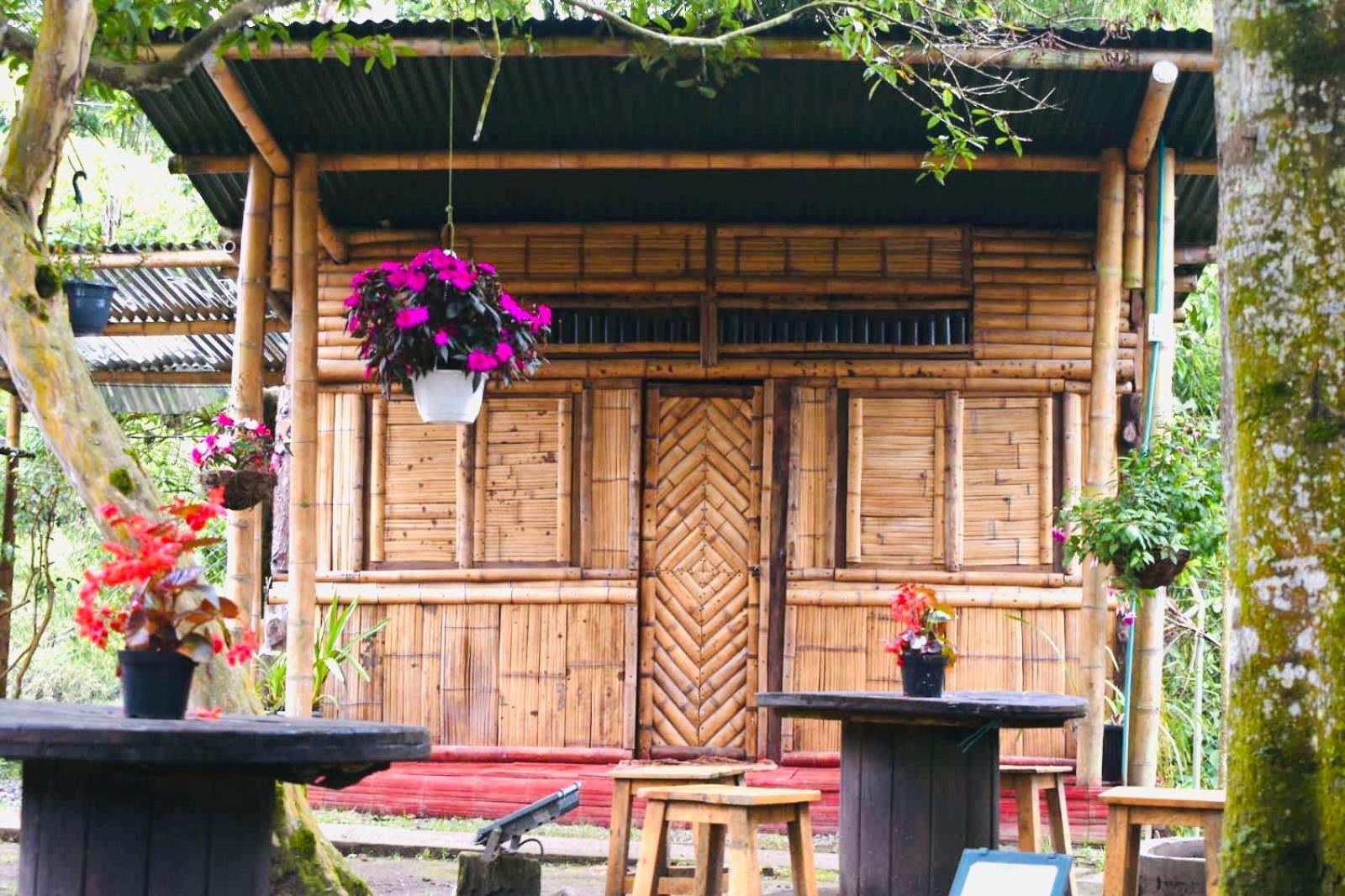 Hostal La Pijarana Salento Exteriör bild